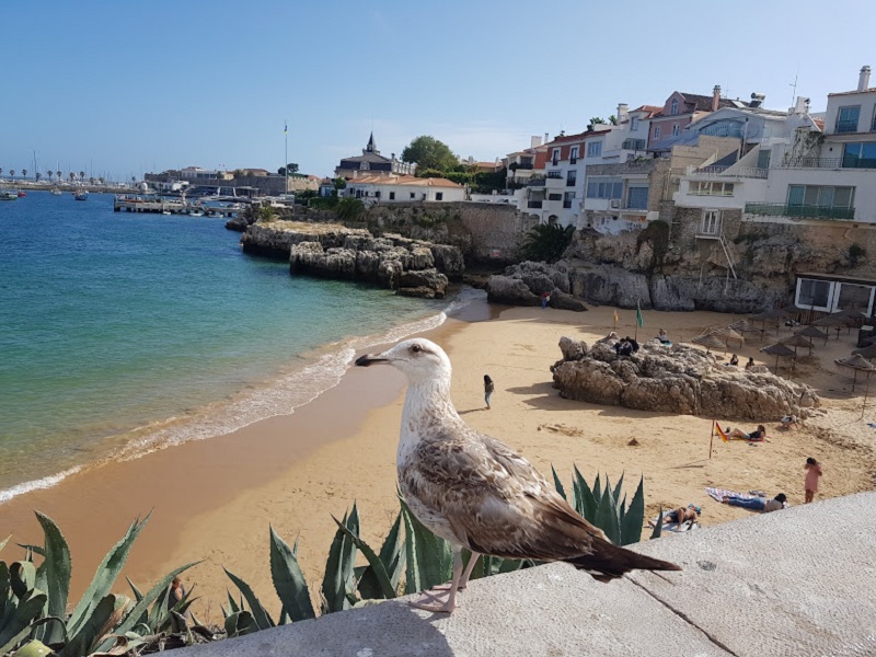 Cascais: Coastal Gem with a Relaxed Ambience