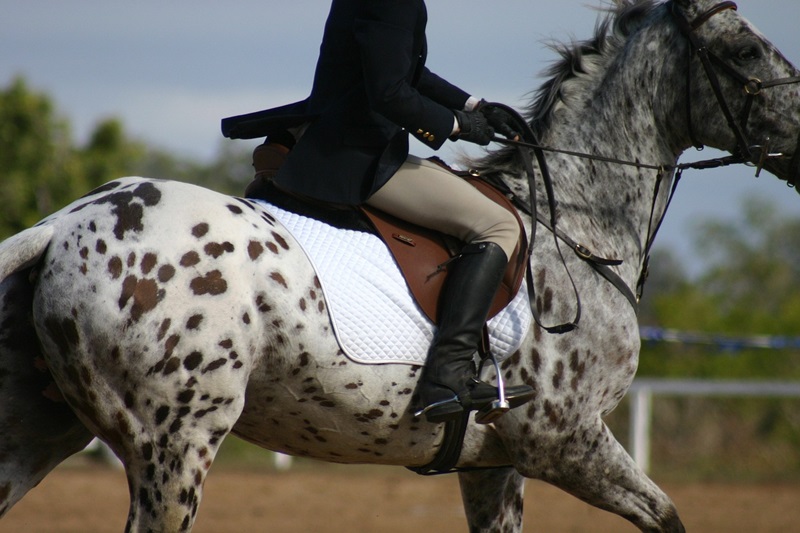 Equestrian Center