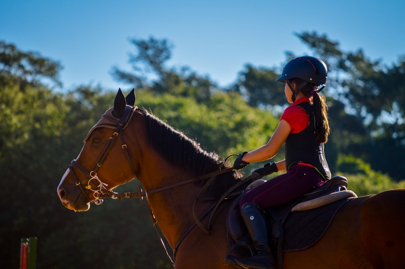 Quinta da Bicuda equestrian center